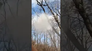 Tough Shot Hunting Pheasant With Black Powder Muzzleloading Shotgun Challenging