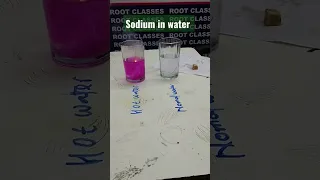 sodium in water|| sodium metal || Reaction of sodium with water #scienceexperiment #scienceactivity