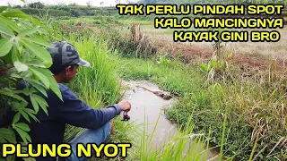 Mancing Di Selokan Diwaktu yang tepat ikan Makan terus #LM23