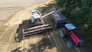 Fortschritt E517, Massey ferguson 8150 pšenice 2022