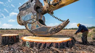 Amazing Dangerous Biggest Stump Removal Excavator in Action, Powerful Stump Removal Grinding Machine