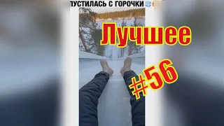 Я ржал до слез, 10 минут приколов 2022. Смешные Видео Лучшие ПРИКОЛЫ. #56