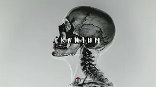 Cranium (Eminem Type Beat x Tech N9ne Type Beat x Hopsin Type Beat) Prod by Trunxks