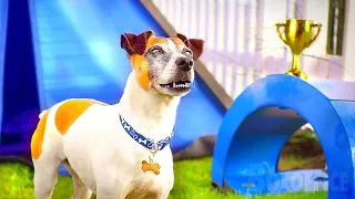 Skipper, the chatty dog | Full Movie | Family