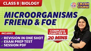 Microorganisms friend and foe class 8 Biology chapter under 30 mins