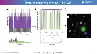 Talk: Calcium imaging and the curse of negativity