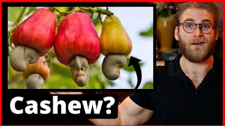 Why CAN'T we buy WHOLE cashews?! | The Weird Truth About Cashew Nuts...