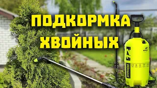 ВЕСЕННЯЯ ПОДКОРМКА ХВОЙНЫХ. Как и чем подкормить хвойные весной