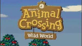 Let’s Play - Animal Crossing Wild World: Day 2