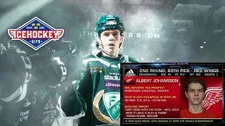 Albert Johansson - Season Highlights - 2020/2021