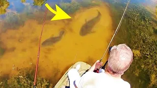 MONSTER FISH in CRYSTAL CLEAR POND!!  (EPIC)