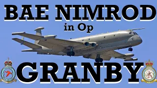 Watching the Navy | The Role Played By The RAF's Nimrod MR.2s in the Persian Gulf War (1990-91)