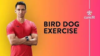How to do the Bird Dog Exercise by Cult Fit | Bird Dog Exercise | Ab Workout | Cult Fit | Cure Fit