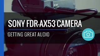 Best Audio Settings - Sony FDR-AX53