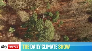 The Daily Climate Show: Millions of homes at risk from extreme weather events