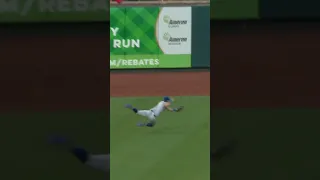 The Squirrel FLEW 🐿️ #mets #newyorkmets #defense #outfield