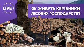 Як живуть ті, хто кришує незаконну вирубку лісів? — Розвідка.LIVЕ