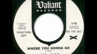 Art Guy - where you gonna go