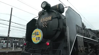 【4K】SLがんばろう能登　能登地方への想いを乗せD51200号機大荒れの本線試運転　2024.04.03