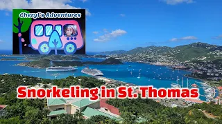 Come snorkel with me in St Thomas.   My underwater camera is great!