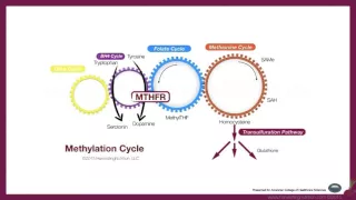 Are Your Genes Depressing You? MTHFR and Your Mood