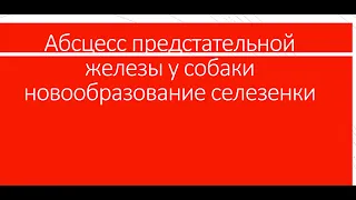 Абсцесс предстательной железы и новообразование селезенки