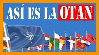 ✅✅✅ ¿Para qué sirve la OTAN? ✅✅✅ Documental 4K