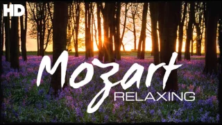 モーツァルトで一番のリラックスしたクラシック音楽 - リラクゼーション瞑想読書フォーカス