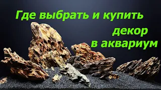 В гостях на базе камня, где выбрать и купить декор в аквариум