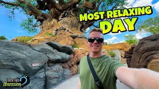 Solo Trip to Animal Kingdom + The Best Quick Service Food! Relaxing Day at the Park