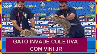 GATO invade entrevista COLETIVA da seleção brasileira com Vini Jr. e assessor o retira; veja VÍDEO