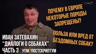 Иван Затевахин. "Диалоги о собаках" на канале "Лаборатория Научных Видео". Серия №3