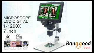 1200x Digital Microscope Review | Banggood