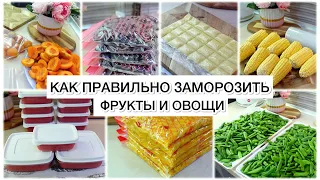 VLOG🇬🇷: КАК ПРАВИЛЬНО ЗАМОРОЗИТЬ ФРУКТЫ И ОВОЩИ 🌽 🍒🍑🥕🧄🍅