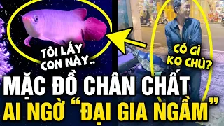 Ông chú 'ĂN MẶC CHÂN CHẤT' vào tiệm cá cảnh nào ngờ lại là ĐẠI GIA NGẦM | Tin 3 Phút