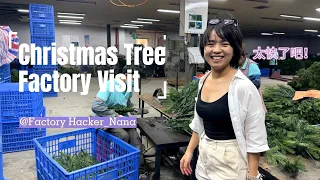 Christmas tree factory visit