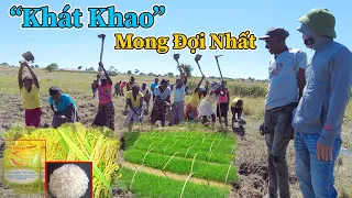 Công Giáp || Khát Khao Quá To Lớn Của Hàng Trăm NGười Dân, Khi Nghe Kể Sắp Có Gạo Do Mình Trồng Ra ?