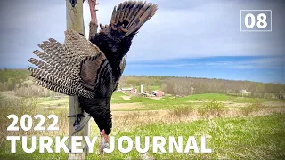 WILD spring turkey HUNT!!! | Vermont Turkey Hunting ((field turkey right at 12:00 CUTOFF))