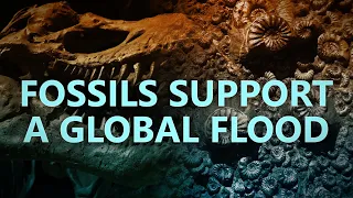 Fossils support a global flood