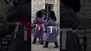 That’s One Very TINY Guard! 😲 #thekingsguard