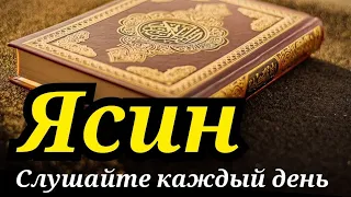 СУРА ЯСИН СЛУШАЙТЕ КАЖДЫЙ ДЕНЬЧтец суры Корана Исмаил каары,