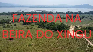 Fazenda na beira do Rio Xingu.  41 alqueires com 35 de pasto a 25 km de São Félix do xingu Pará.