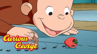 Curious George 🐵 George makes a mess 🐵  Kids Cartoon 🐵  Kids Movies 🐵 Videos for Kids