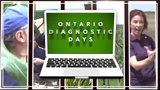 Ontario Diagnostic Days, Ep 4: Soil management snippets for healthy and productive soils