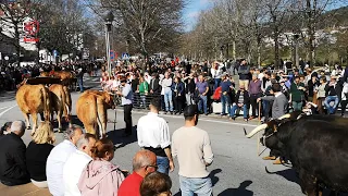 Desfile de Bois da Páscoa | Arcos de Valdevez 2023