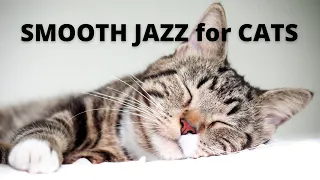 Smooth Jazz for Cats | 12 Hours