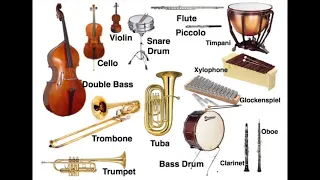 Question 14 - Instruments of the Orchestra Quiz