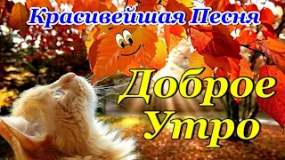 С Добрым Утром🍂🍁🍂Красивая Песня Сергея Чекалина! Обязательно Послушайте!