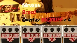 Nirvana "Breed" Overlay BIG MUFF ×４| Guitar cover