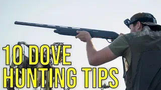 10 Dove Hunting Tips